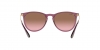 RB4171 Erika Sunglasses