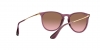 RB4171 Erika Sunglasses