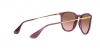 RB4171 Erika Sunglasses