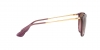 RB4171 Erika Sunglasses