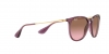 RB4171 Erika Sunglasses