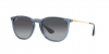 RB4171 Erika Sunglasses
