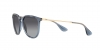 RB4171 Erika Sunglasses