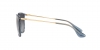 RB4171 Erika Sunglasses