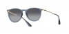 RB4171 Erika Sunglasses