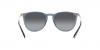 RB4171 Erika Sunglasses