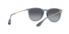RB4171 Erika Sunglasses