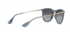 RB4171 Erika Sunglasses