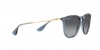 RB4171 Erika Sunglasses