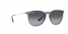 RB4171 Erika Sunglasses