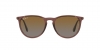 RB4171 Erika Sunglasses