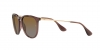 RB4171 Erika Sunglasses