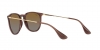 RB4171 Erika Sunglasses