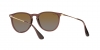 RB4171 Erika Sunglasses