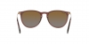 RB4171 Erika Sunglasses