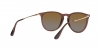 RB4171 Erika Sunglasses