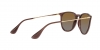 RB4171 Erika Sunglasses