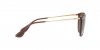RB4171 Erika Sunglasses