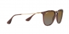RB4171 Erika Sunglasses