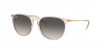RB4171 Erika Sunglasses