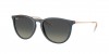 RB4171 Erika Sunglasses