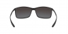 RB4179 Liteforce Sunglasses