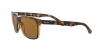 RB4181 Rb4181 Sunglasses
