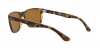 RB4181 Rb4181 Sunglasses