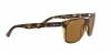 RB4181 Rb4181 Sunglasses