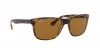 RB4181 Rb4181 Sunglasses