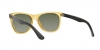 RB4181 Rb4181 Sunglasses