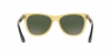 RB4181 Rb4181 Sunglasses