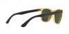 RB4181 Rb4181 Sunglasses