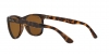 RB4181 Rb4181 Sunglasses