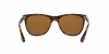 RB4181 Rb4181 Sunglasses