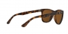 RB4181 Rb4181 Sunglasses
