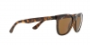 RB4181 Rb4181 Sunglasses