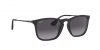 RB4187F Chris Sunglasses