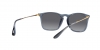 RB4187F Chris Sunglasses