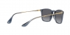 RB4187F Chris Sunglasses