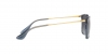 RB4187F Chris Sunglasses