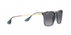 RB4187F Chris Sunglasses
