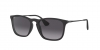 RB4187F Chris Sunglasses