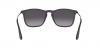 RB4187F Chris Sunglasses