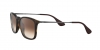 RB4187F Chris Sunglasses