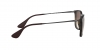 RB4187F Chris Sunglasses