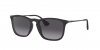 RB4187 Chris Sunglasses