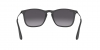 RB4187 Chris Sunglasses