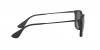 RB4187 Chris Sunglasses