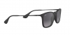 RB4187 Chris Sunglasses
